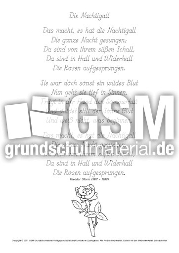 Die-Nachtigall-Storm-GS.pdf
